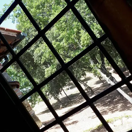 Podere San Lorenzo 1866 Farm stay *